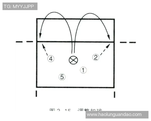 南京排球队战术解析：深度剖析包夹策略与实战应用