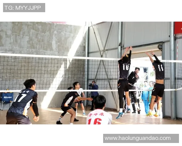 广州排球队心理素质排行榜第九名解析与提升建议