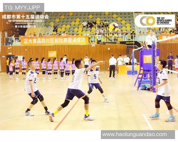 排球盛宴:深入成都排球队的训练与比赛节奏揭秘