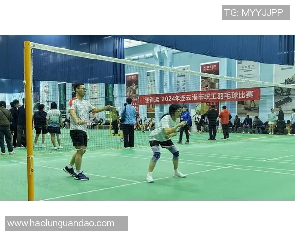 武汉羽毛球队比赛经验分析与提升策略探讨之路